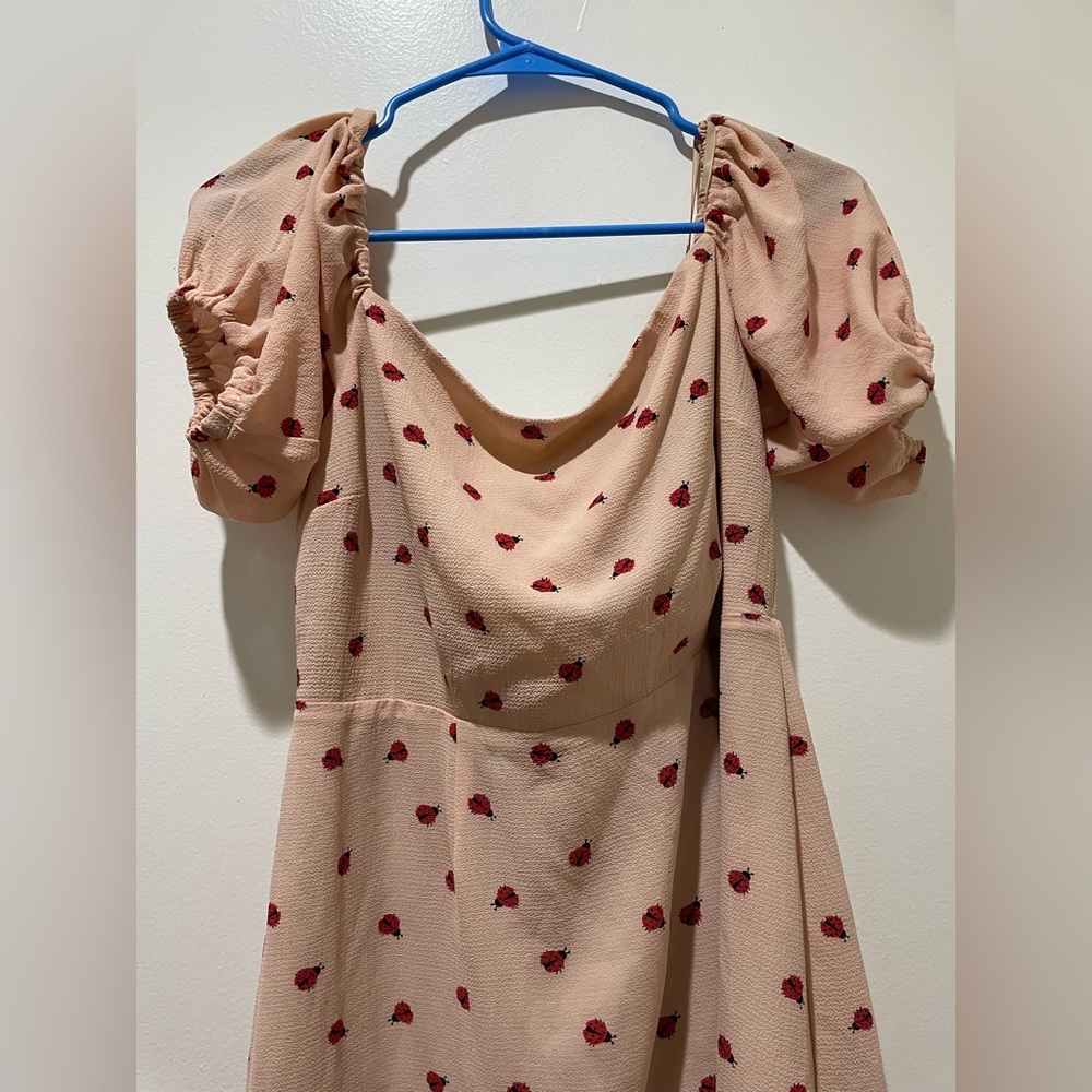 Women’s Endless Summer Ladybug Print Babydoll Minidress with Cap Sleeves, size L